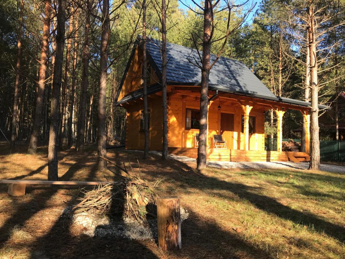 Ferienhaus Forest Trzepieciny
